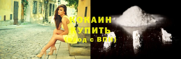 дурь Пестово