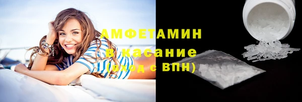 гашик Алексин