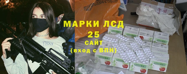 ГАЛЛЮЦИНОГЕННЫЕ ГРИБЫ Пересвет