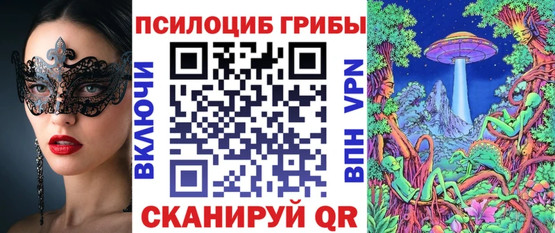 купить закладку  Феодосия  KRAKEN зеркало  Псилоцибиновые грибы GOLDEN TEACHER 